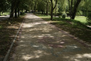 "Квітковий" тротуар на вул. Лепкого