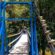 Підвісний пішохідний міст у парку «Сопільче» уже доступний для проходу тернополян