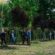 У Тернополі в парку ім. Тараса Шевченка висадили 11 саджанців дерев декоративної сливи «Піссарді»