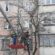 Формувальну обрізку дерев здійснили працівники ДП “Люкс Житло” ПП “Люкс”