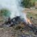 Муніципальні інспектори склали чотири адміністративні протоколи за спалювання сухої рослинності у Тернопільській громаді