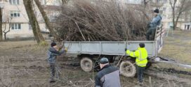 Працівники ПП “Люкс” здійснюють вивезення гілля