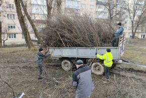 Працівники ПП “Люкс” здійснюють вивезення гілля