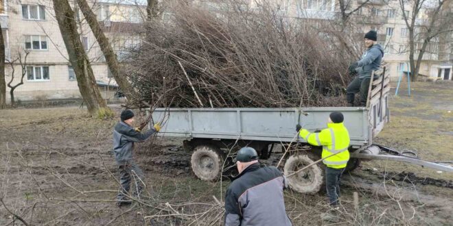 Працівники ПП “Люкс” здійснюють вивезення гілля