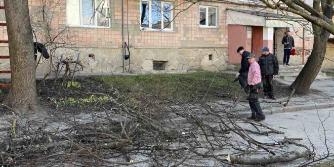 Формувальну підрізку проводять працівники ПП “Сонячне”
