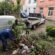 Звіт про роботи, здійснені ПП “Східний масив” впродовж минулого тижня (26.05-30.05.2025)