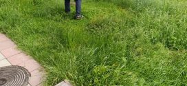 Косіння прибудинкових територій продовжують працівники ПП “Благоустрій”