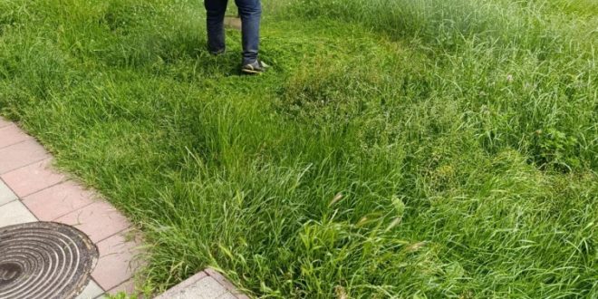 Косіння прибудинкових територій продовжують працівники ПП “Благоустрій”
